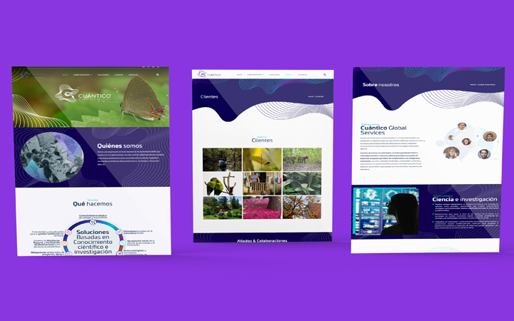 Diseño de páginas web Bogotá